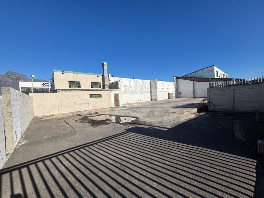 To Let commercial Property for Rent in Paarden Eiland Western Cape